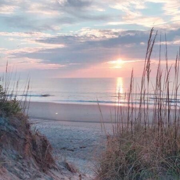 Meet your Posher, Lexi - Picture 1 of 1